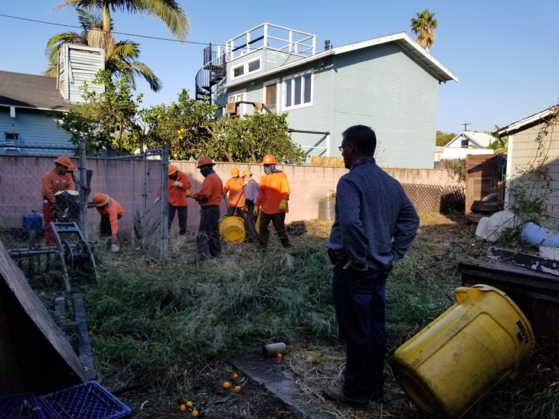 Stage 1 - Clean Up The Yard Victorian By The Bay