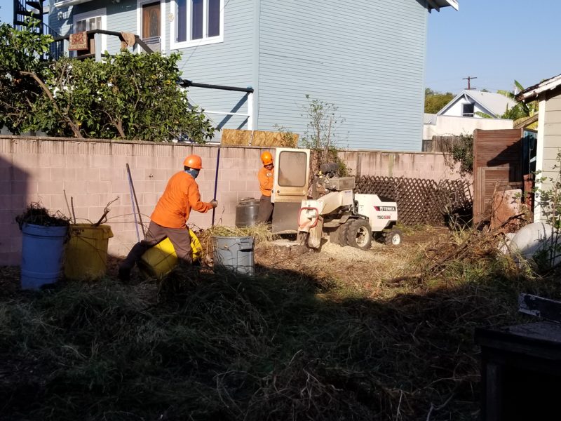 Stage 1 Clean Up The Yard Victorian By The Bay