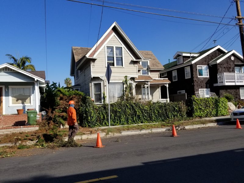 Victorian By The Bay Yard Transformation