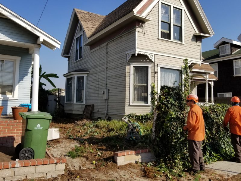 Victorian by the bay, yard clean up